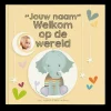 Babyboek "Welkom op de wereld" personaliseren
