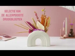 Bloomposy met Speciaal voor jou Primera Keuze Cadeaukaart