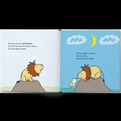 Boek