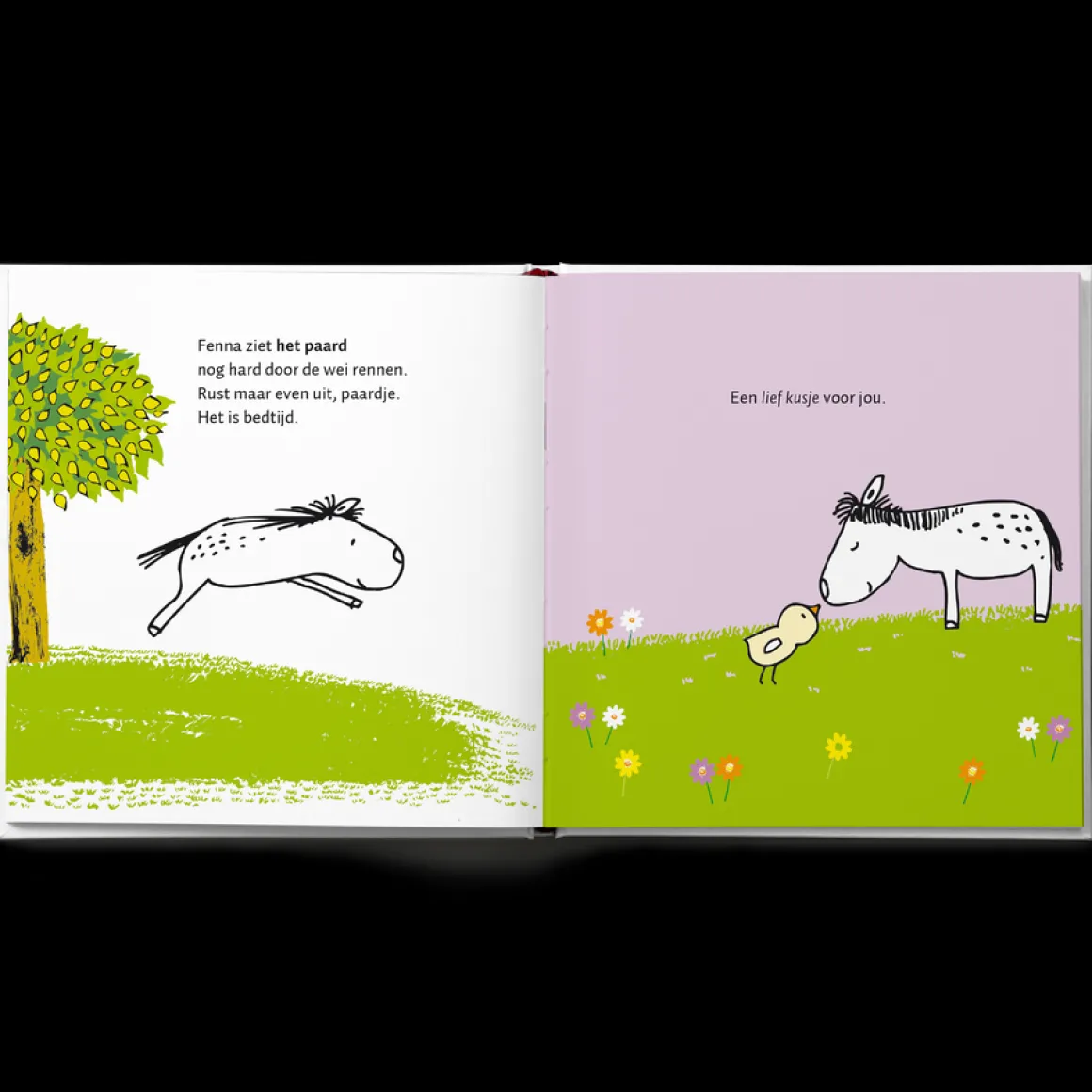 Boek "100 kusjes voor het slapengaan" met naam