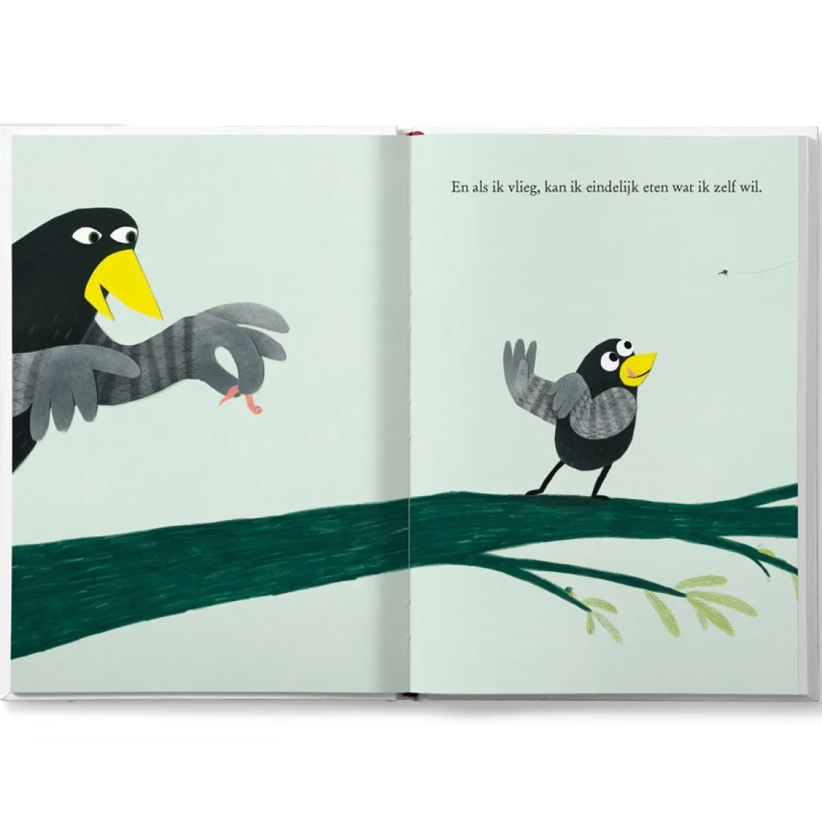 Boek "Coco kan het!" personaliseren