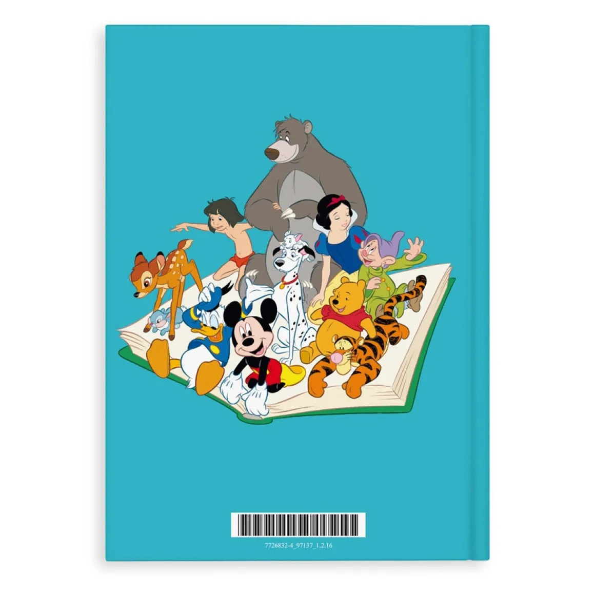 Boek met naam - Disney Donald Duck