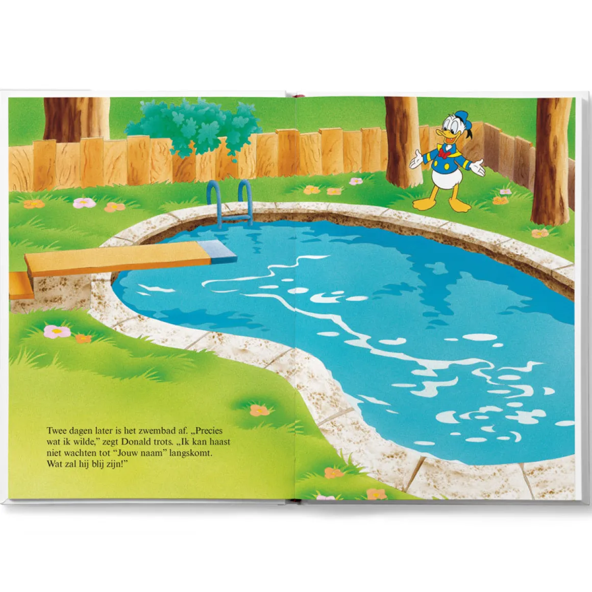 Boek met naam - Disney Donald Duck