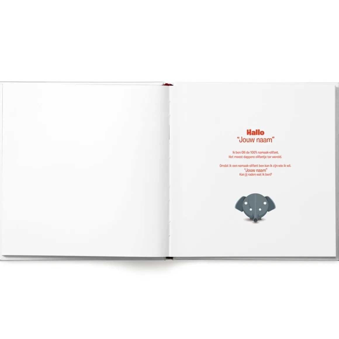Boek met naam - Ollimania - Hallo Olli