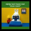 Boek "nijntje leert lezen" personaliseren