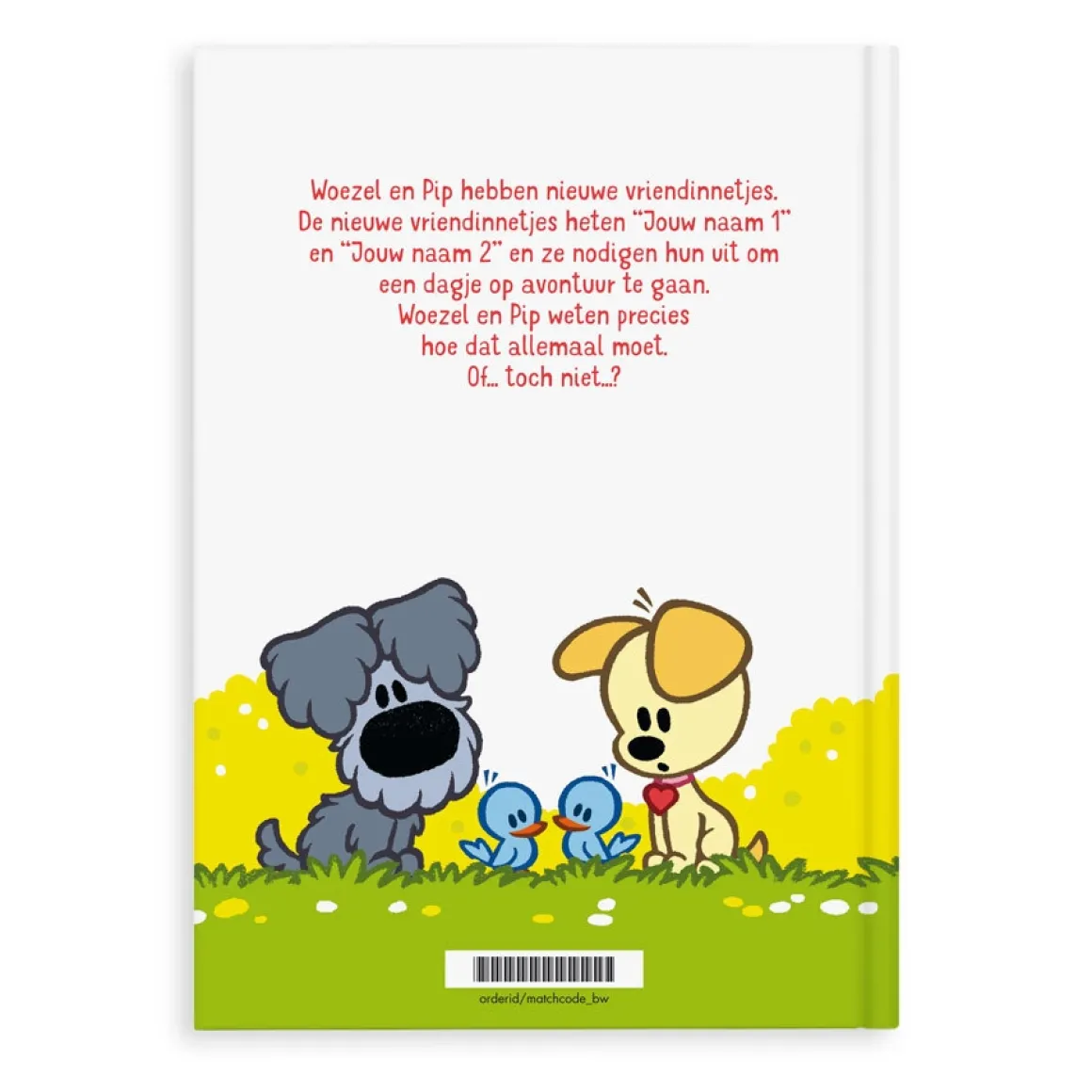 Boek Woezel & Pip tweelingeditie met naam