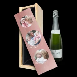 Cava Palau Gazo Brut