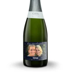 Cava Palau Gazo Brut