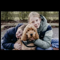 Puzzel met foto groot