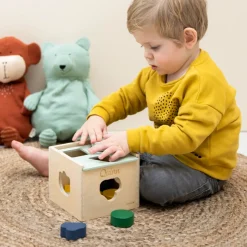 Trixie houten sorteerspel met naam
