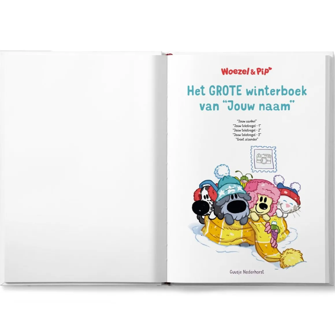 Winterboek - Woezel en Pip boek