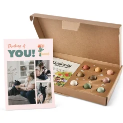 Zaadbommetjes cadeau