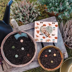 Zaadbommetjes cadeau
