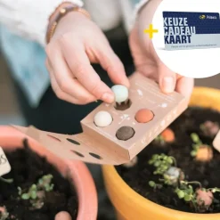 Zaaibommetjes goud waard met Hieperdepiep hoera Primera Keuze Cadeaukaart