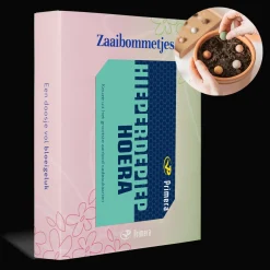 Zaaibommetjes met Hieperdepiep hoera Primera Keuze Cadeaukaart