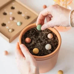 Zaaibommetjes met Speciaal voor jou Primera Keuze Cadeaukaart